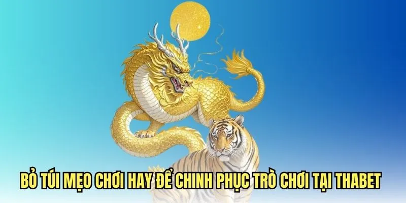 Bí mật chiến thắng game rồng hổ của cao thủ