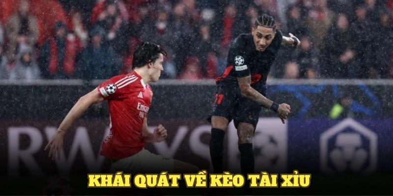 Khái quát về kèo tài xỉu