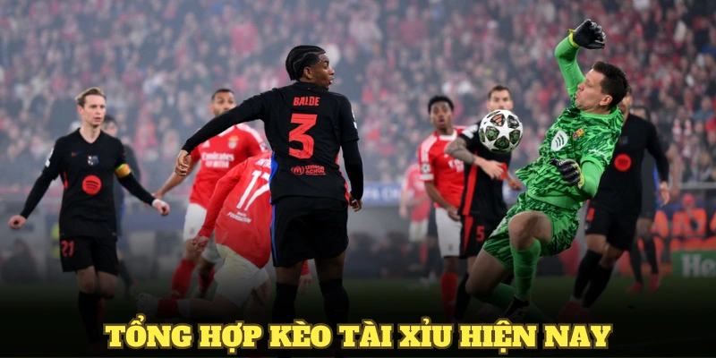Tổng hợp kèo tài xỉu hiện nay
